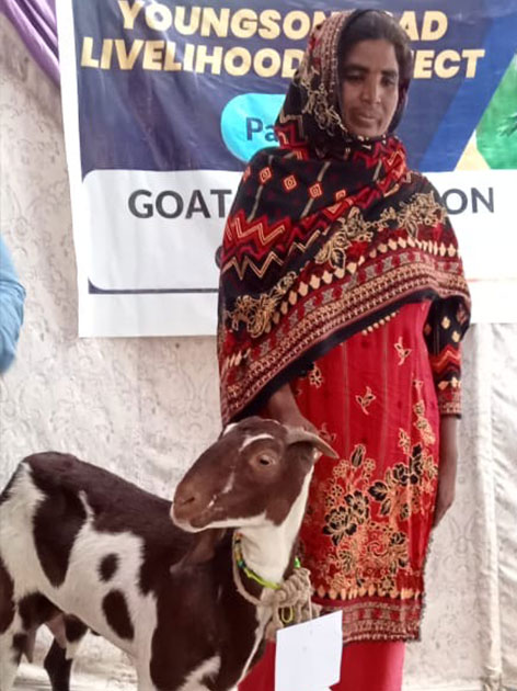 Pakistan Livestock Program